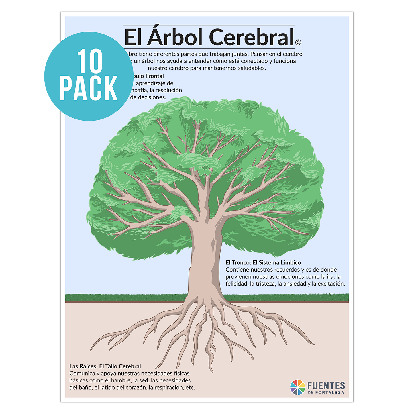 Brain Tree Posters - Spanish