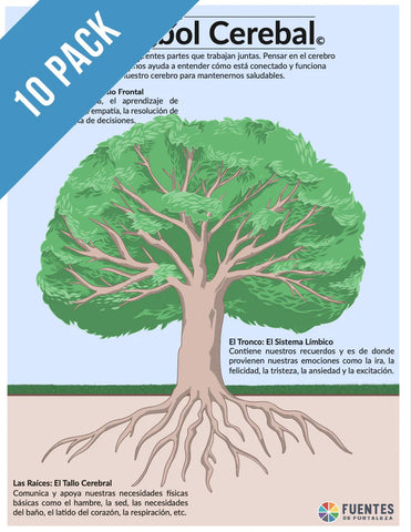 Brain Tree Posters - Spanish