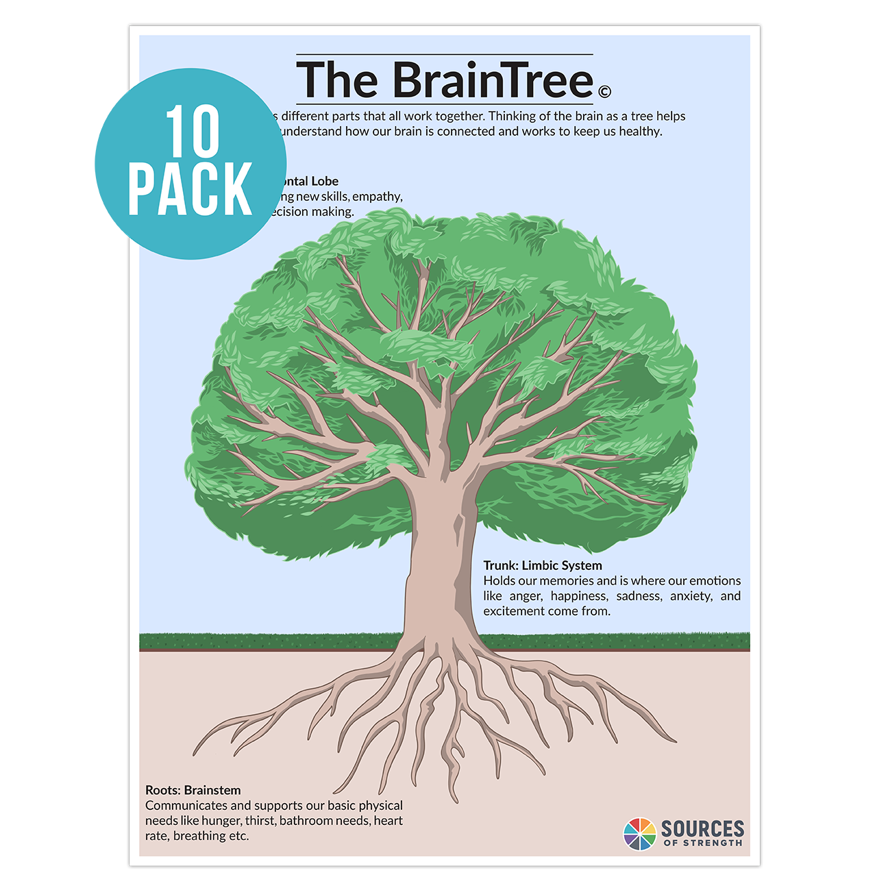 Brain Tree Posters - English